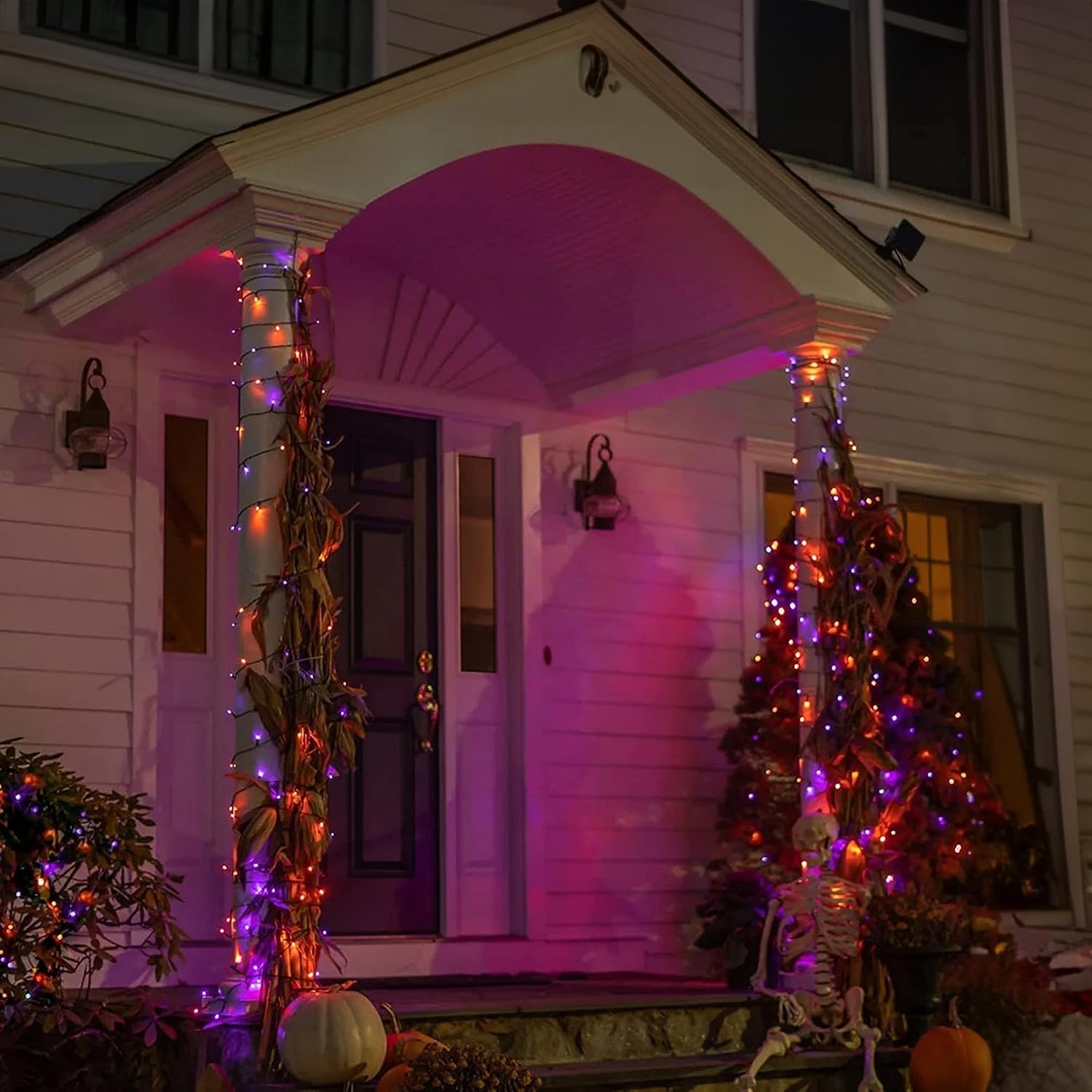 ไฟประดับฮาโลวีน Dazzle Bright  - Orange Lighting Decor บทวิจารณ์และราคา